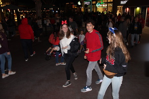 IMG 5017